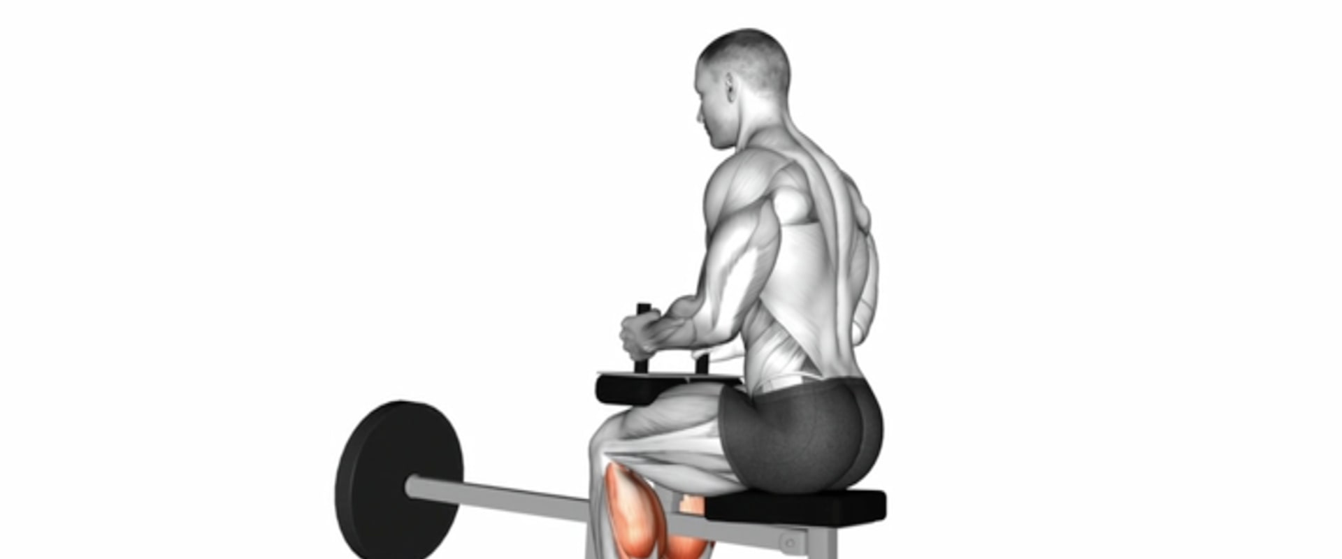 Seated Calf Raises: A Comprehensive Overview