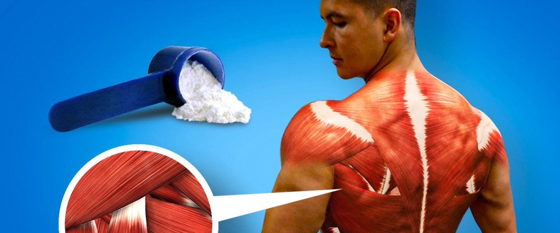The Benefits and Uses of Creatine Supplements for Bodybuilding