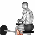 Seated Calf Raises: A Comprehensive Overview