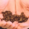 Caffeine for Bodybuilders: Benefits, Uses and Risks