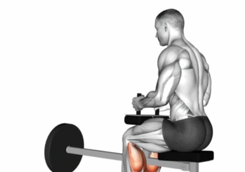 Seated Calf Raises: A Comprehensive Overview