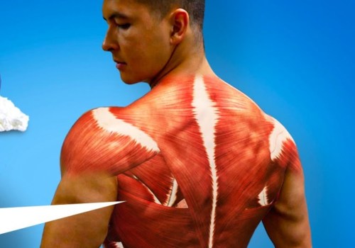The Benefits and Uses of Creatine Supplements for Bodybuilding